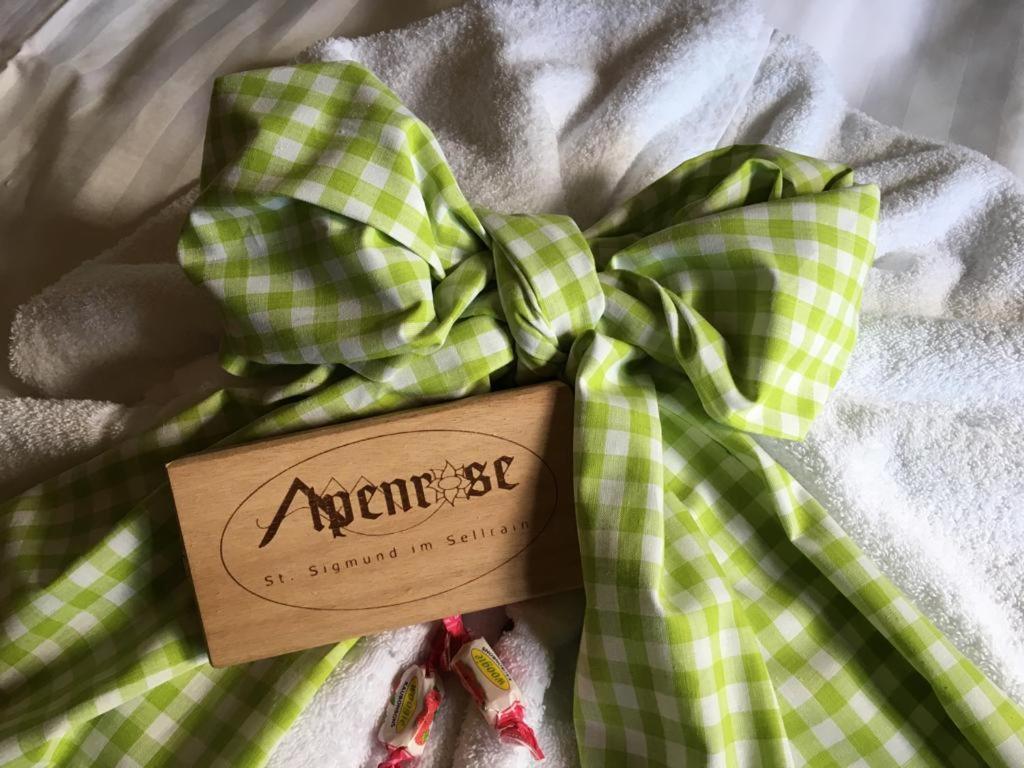 Pension Alpenrose Sankt Sigmund im Sellrain ภายนอก รูปภาพ