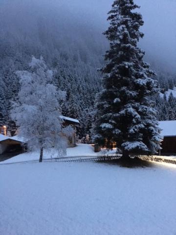 Pension Alpenrose Sankt Sigmund im Sellrain ภายนอก รูปภาพ